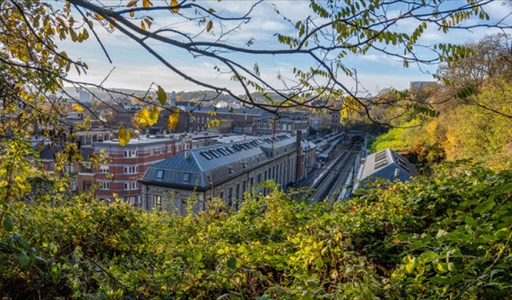 Les herbes folles des jardins suspendus de Jonfosse