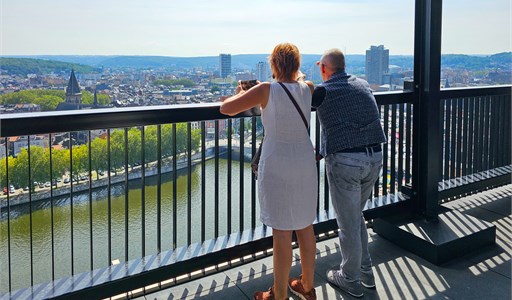 Panorama Cit&#233; Adminitrative de Li&#232;ge