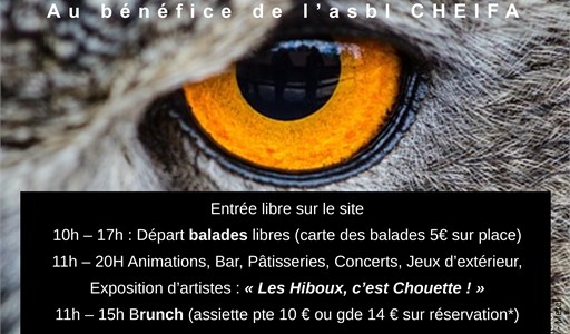 Journ&#233;e des hiboux