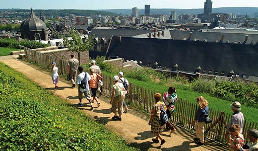 Les coteaux de la citadelle (*** guide Michelin)