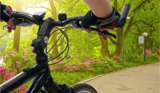 V&#233;lo