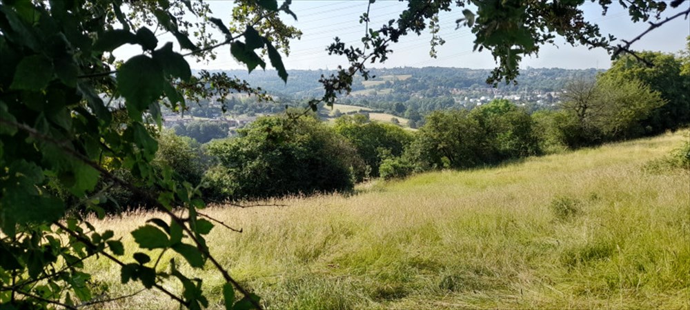 Photo de Le grand tour de Liège – étape 2 –  De Jupille à Fayenbois, du houblon et des vallons