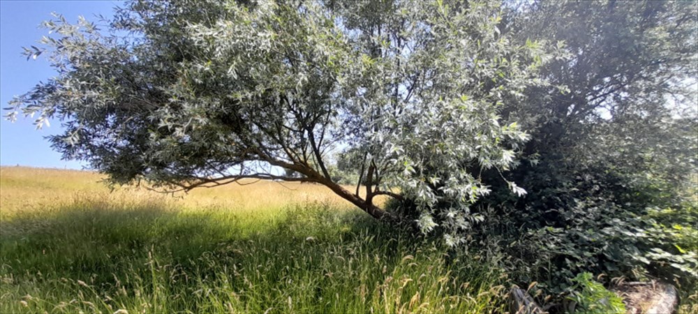 Photo de Le grand tour de Liège – étape 2 –  De Jupille à Fayenbois, du houblon et des vallons