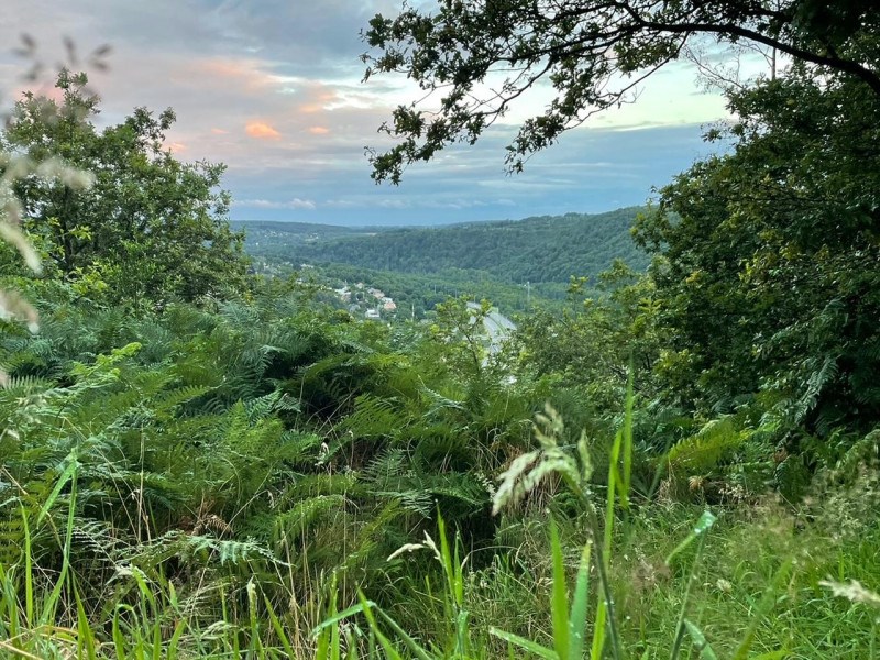 Photo de Promenade au crépuscule