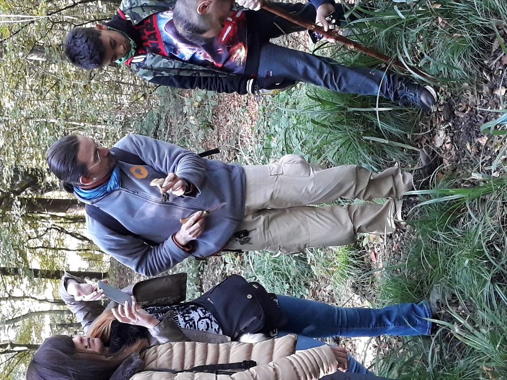 Photo de «Chapeau rond, chapeau pointu, champignon dis-moi, qui es-tu?»
