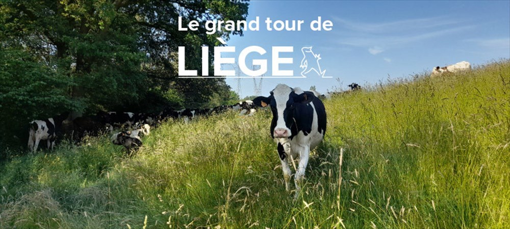 Photo de Le grand tour de Liège – étape 2 –  De Jupille à Fayenbois, du houblon et des vallons