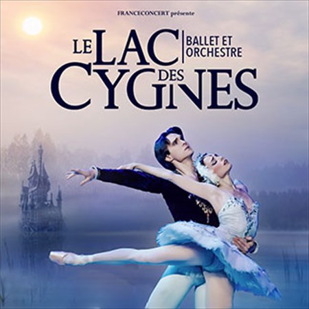 Photo de Le lac des Cygnes