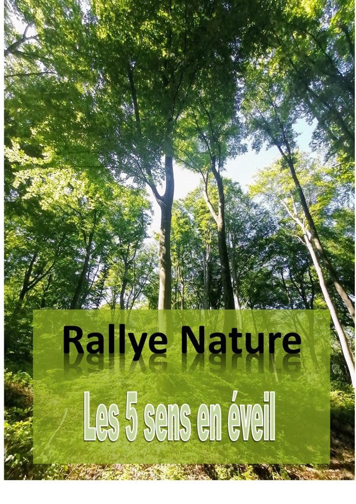 Photo de Les 5 sens en éveil
