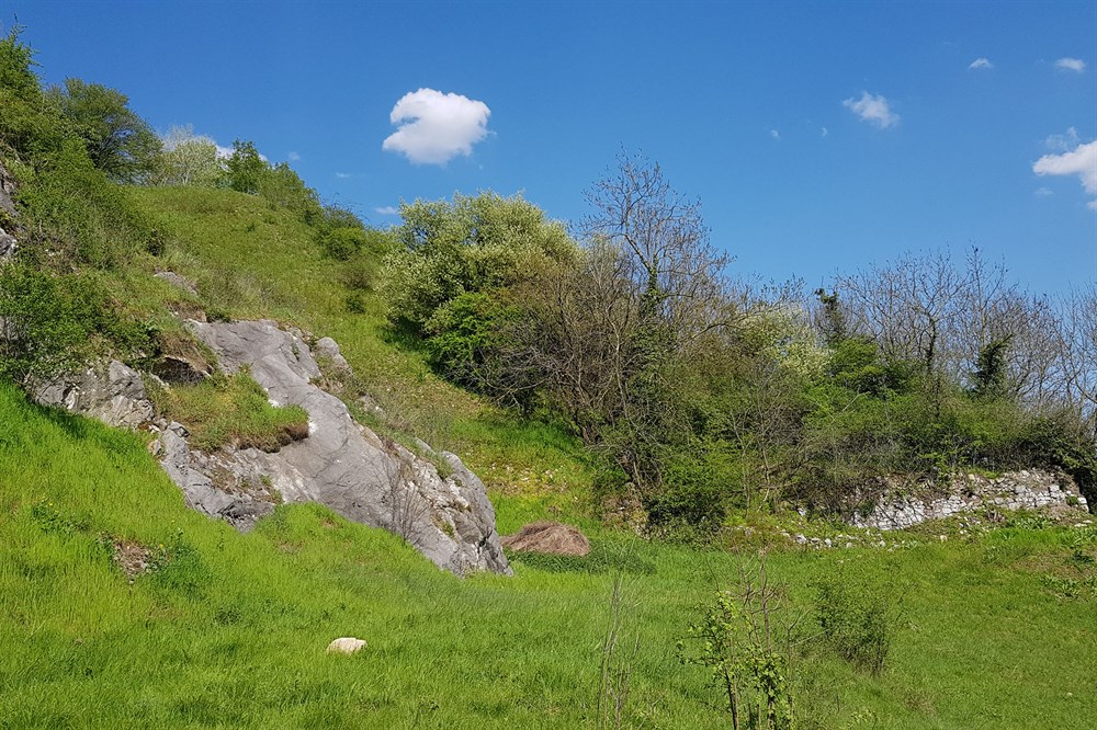 Photo de Réserve naturelle aux Roches