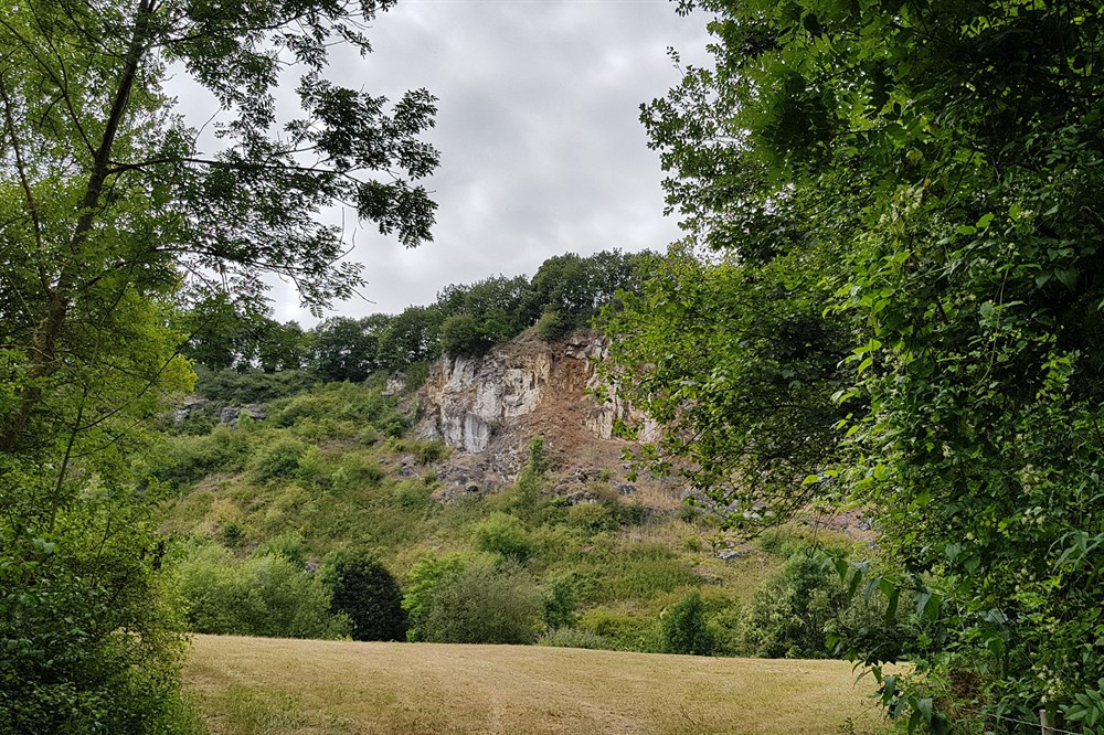 Photo de Réserve naturelle aux Roches