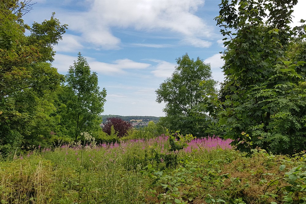 Photo de Réserve naturelle aux Roches