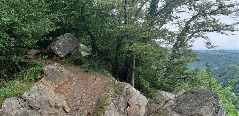 Photo de La vallée du Blanc-Gravier et la Roche-aux-Faucons (balade guidée)