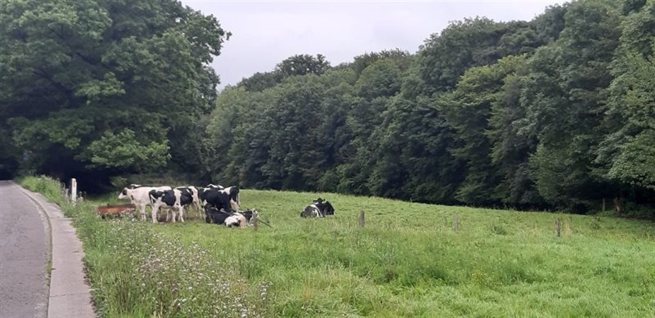 Photo de La vallée du Blanc-Gravier et la Roche-aux-Faucons (balade guidée)
