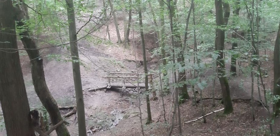 Photo de La vallée du Blanc-Gravier et la Roche-aux-Faucons (balade guidée)