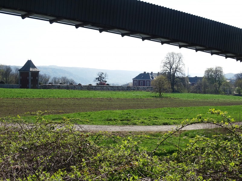 Photo de Les coteaux des Awirs à Flémalle, entre vignoble et château