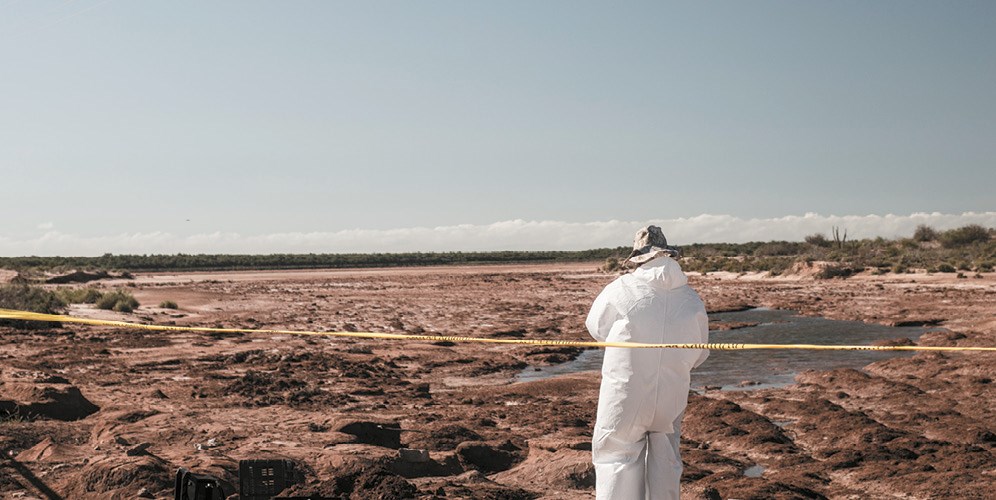 Photo de Trésors - L'Amérique Latine, ossuaire des disparitions forcées