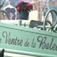 Le ventre de la baleine